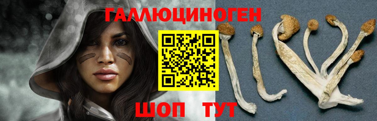 Кокаин  ГАШИШ  Марихуана  Амфетамин   Метадон  Меф  Усинск  А ПВП СОЛЬ кристаллы  МЕФ кристаллы  Вход с VPN 